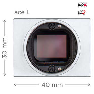ace-L.jpg